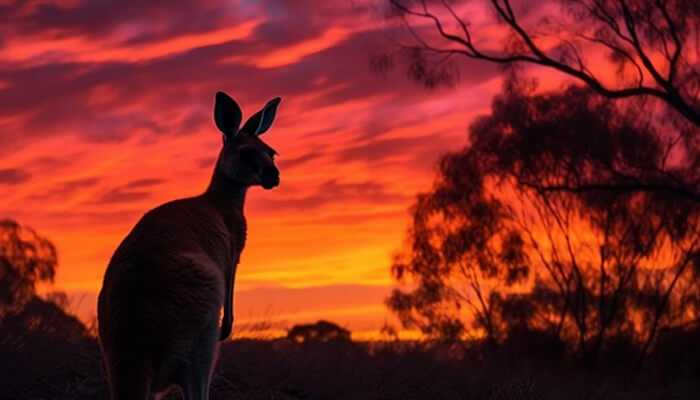 TycoonStoryCo's tweet image. Discover Australia’s wild side 🌏 — from lush rainforests to red deserts.

Unleash your spirit of adventure with unforgettable outdoor adventures in nature’s purest form! 🏕️

tycoonstory.com/outdoor-advent…

#australiaswildside #outdooradventures #exploreaustralia @AATKings @litcommerce