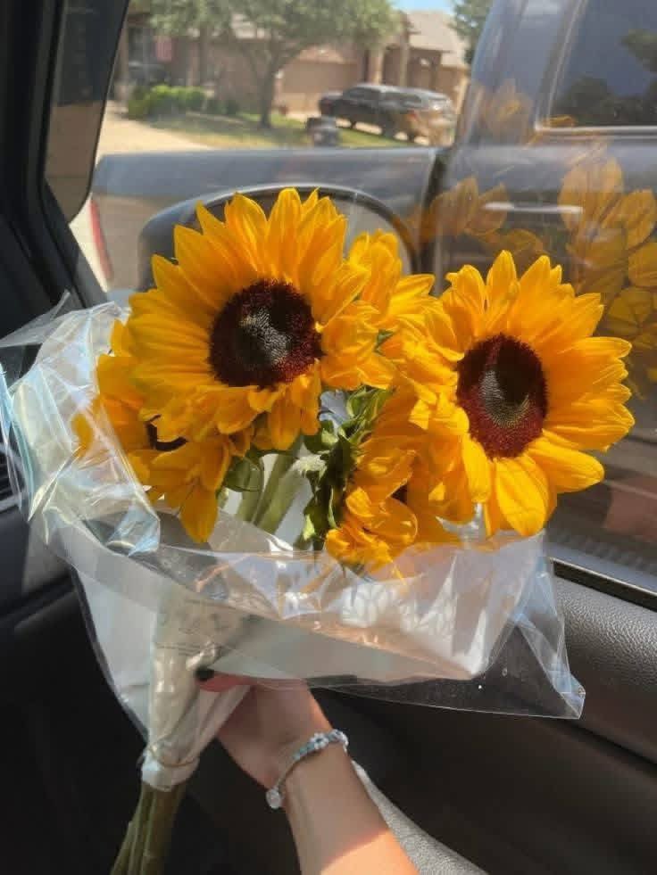 sunflowerchives's tweet image. pretty