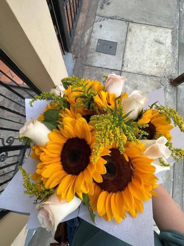 sunflowerchives's tweet image. pretty