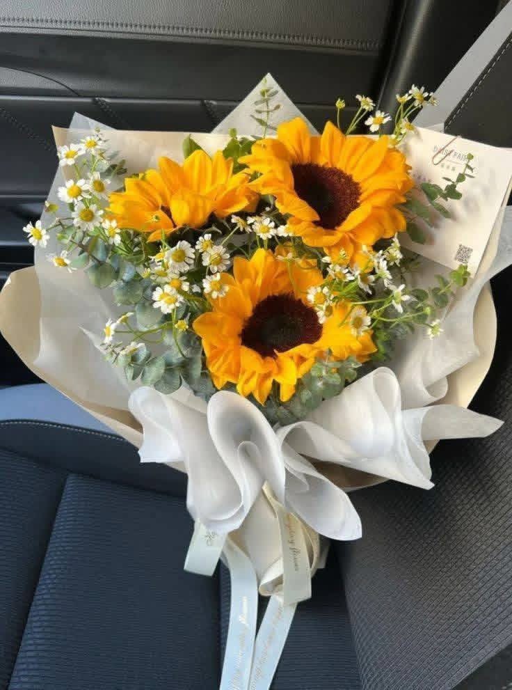 sunflowerchives's tweet image. pretty