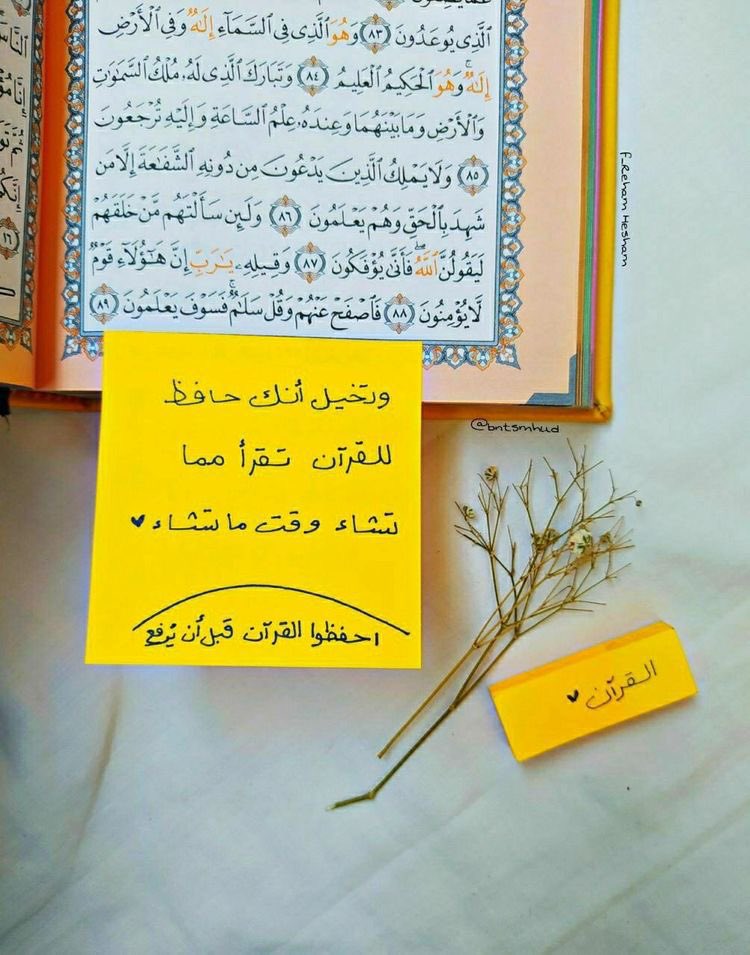 "ما مُنِح عبدٌ عطية أجلّ ولا أعظم من أُلفة القرآن والأنس به؛ فاسألِ الله أن يرزقك حظًّا من القرآن يحيي به قلبك ويشرح به صدرك ويذهب به همك، فإنك إن أُوتيت القرآن هانت عليك الدُّنيا، واطمأن قلبك مهما اضطربت الحياة."