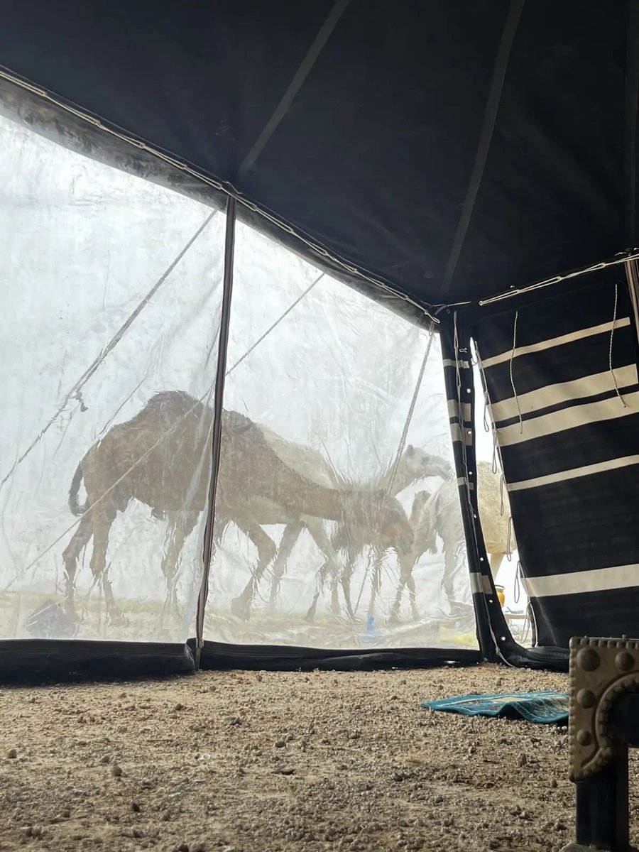 SAUDI POPULAR (@saudipopular) on Twitter photo 