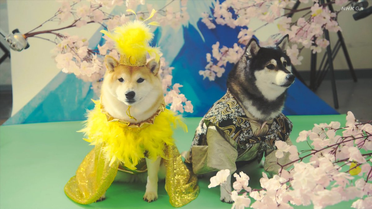 おもし令和 しお on X