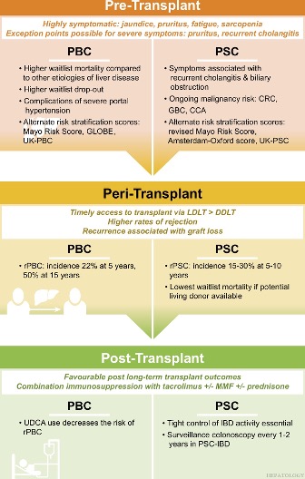 Review

Liver transplantation for cholestatic liver diseases: Timing and disease recurrence

Cançado et al
#LiverX
shorturl.at/B3OR3