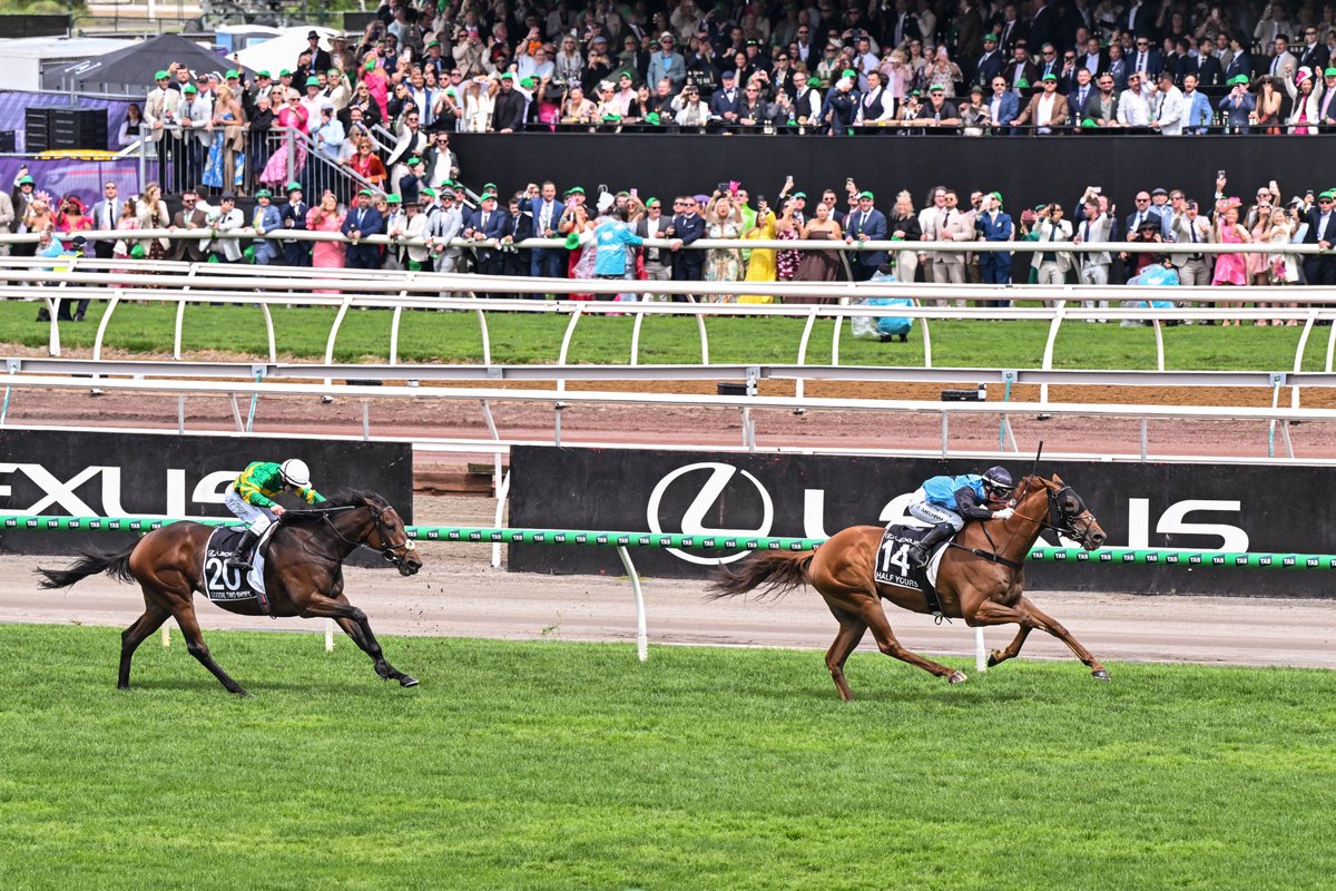 Extraordinary! The #InglisDigital superstar HALF YOURS (St Jean) wins the G1 Melbourne Cup <a href="/FlemingtonVRC/">Victoria Racing Club</a> for <a href="/mcevoymitchell/">McEvoy Mitchell Racing</a> father/son combo of Tony and <a href="/CalvinMcEvoy/">Calvin McEvoy</a>. He's a $305k online buy for <a href="/BelmontBldstck/">Damon Gabbedy</a> and has since won $9.2m, in just 12 months!