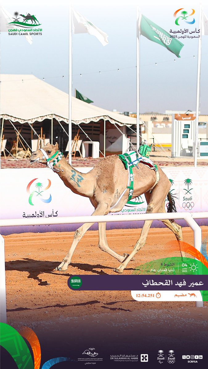 الاتحاد السعودي للهجن tweet media