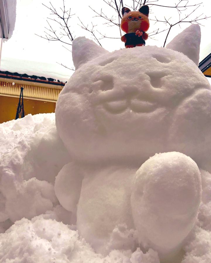toi_0004's tweet photo. 今年も雪の中から出てきてくれるかな

 #2025MAMAVOTE   #ZEROBASEONE https://t.co/oiilsVUFsH