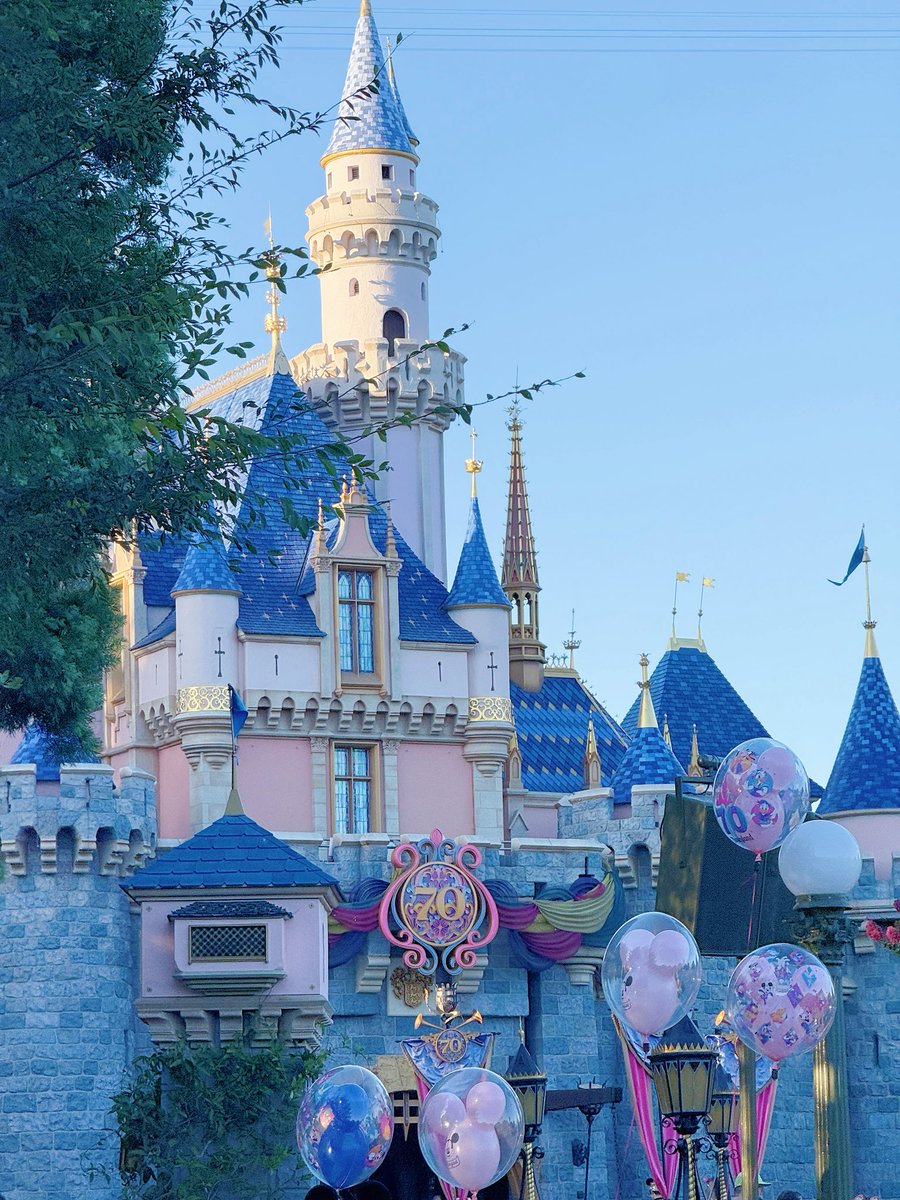 Kate 🎀 tweet media