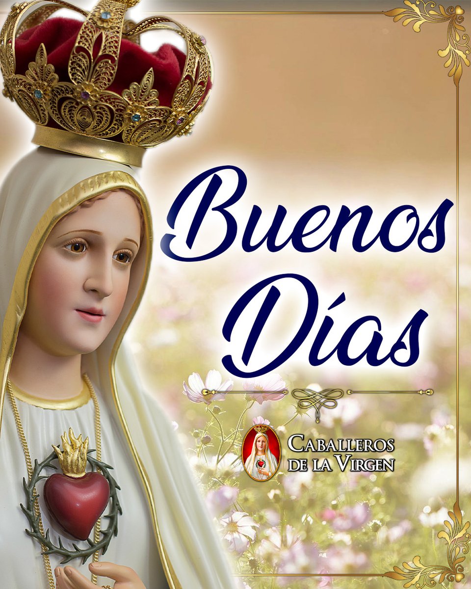 Caballeros de la Virgen tweet media