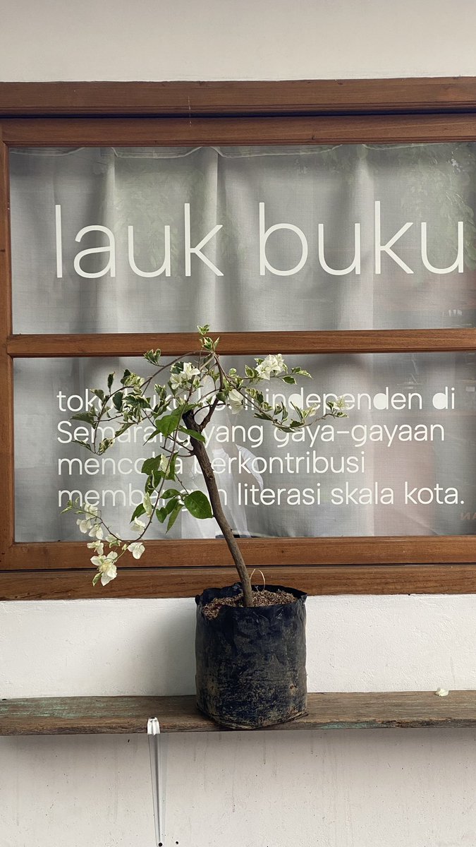 Mun11f's tweet photo. Posting dagangan sek lur https://t.co/mKb56ItncI