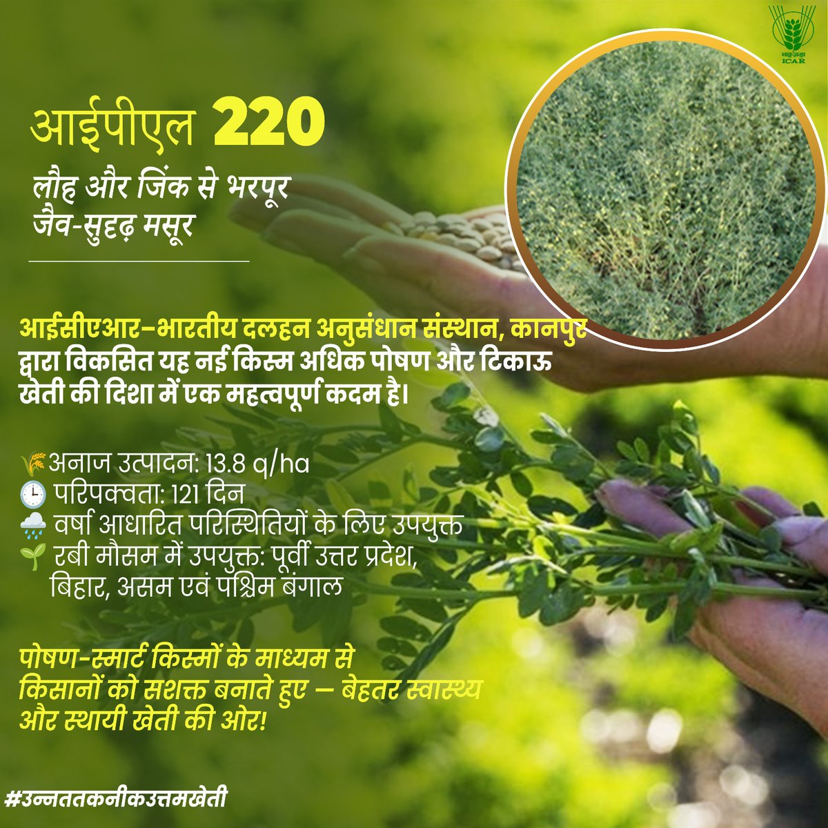 𝐈𝐏𝐋  𝟐𝟐𝟎 𝐁𝐢𝐨𝐟𝐨𝐫𝐭𝐢𝐟𝐢𝐞𝐝 𝐋𝐞𝐧𝐭𝐢𝐥 
#ICAR #उन्नततकनीकउत्तमखेती #rabi2025
<a href="/ChouhanShivraj/">Shivraj Singh Chouhan</a>