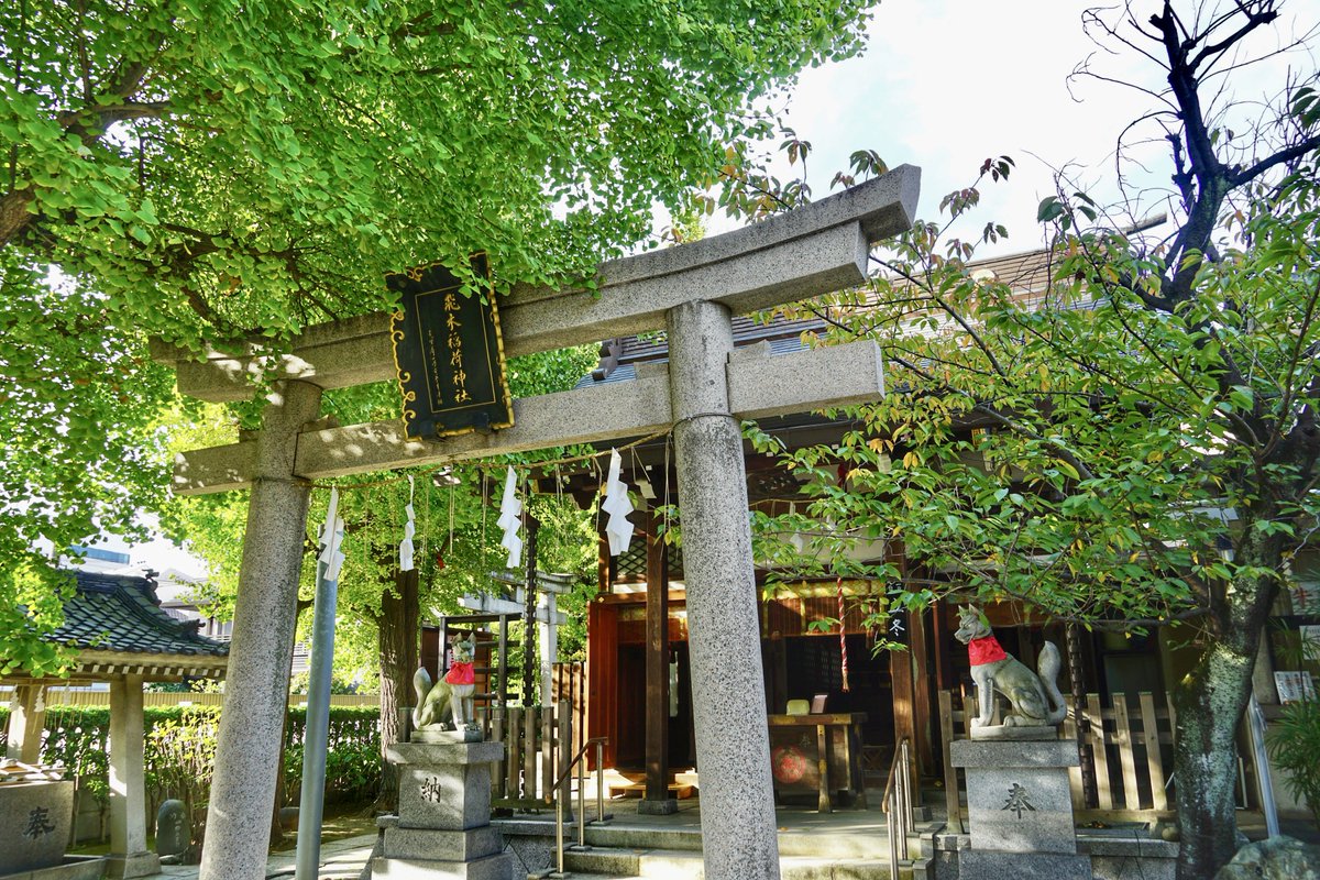 jinjamemo's tweet image. 飛木稲荷神社。墨田区押上。
旧請地村の鎮守。

「銀杏御朱印」と「乙巳御朱印」を頂きました。他に「栗御朱印」の用意もありました。限定御朱印は書き置きのみですが通常御朱印は帳面に頂けます。…