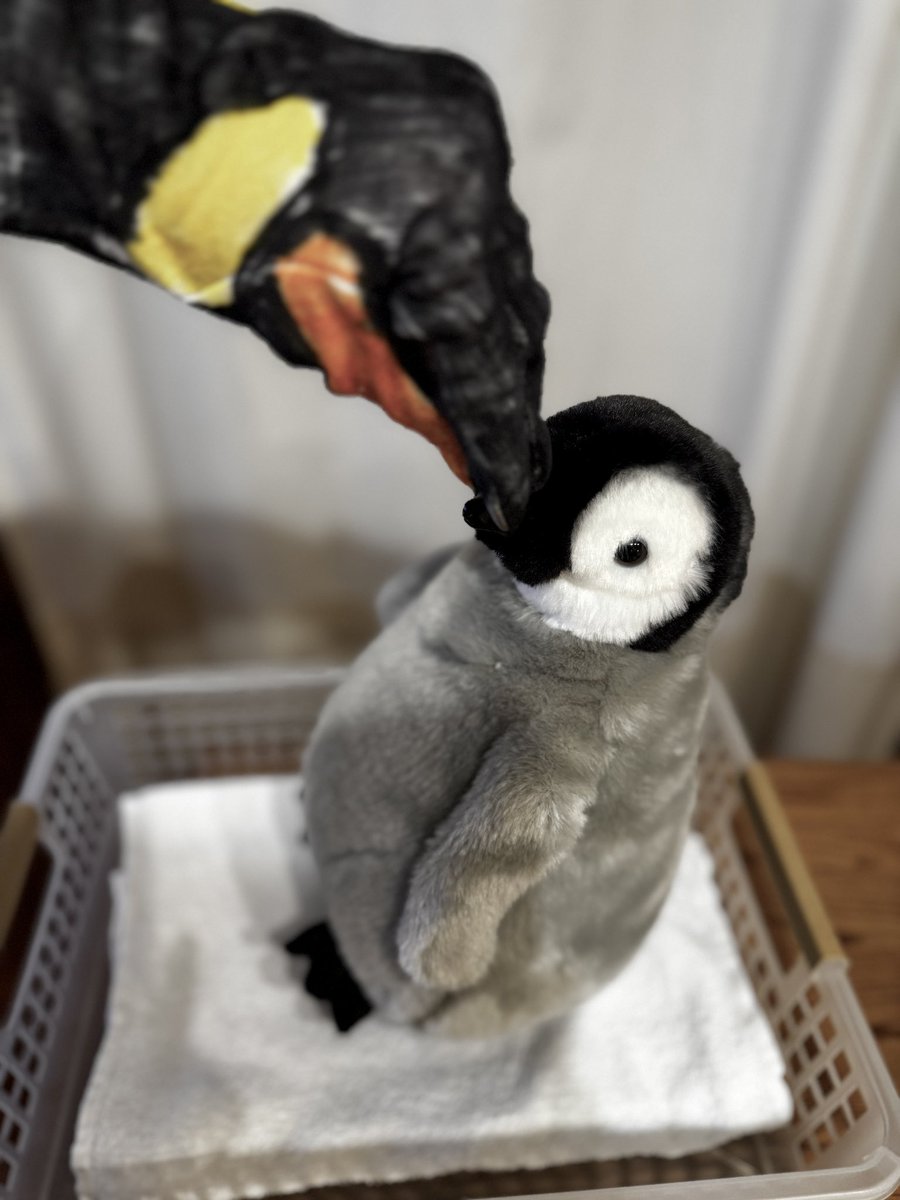 小物 user_d828545d S H I B U Y A ◾️ G A R A G E - Z1000 do mestre