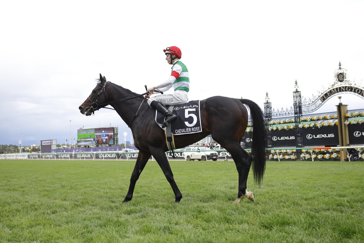 D・レーン - Search / X