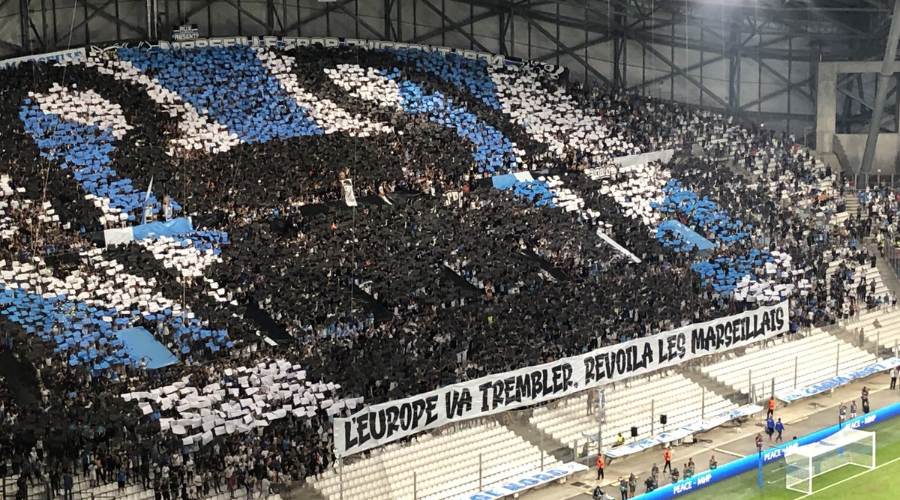 Cédric ANDRE 💚❤️🐗💪 tweet media