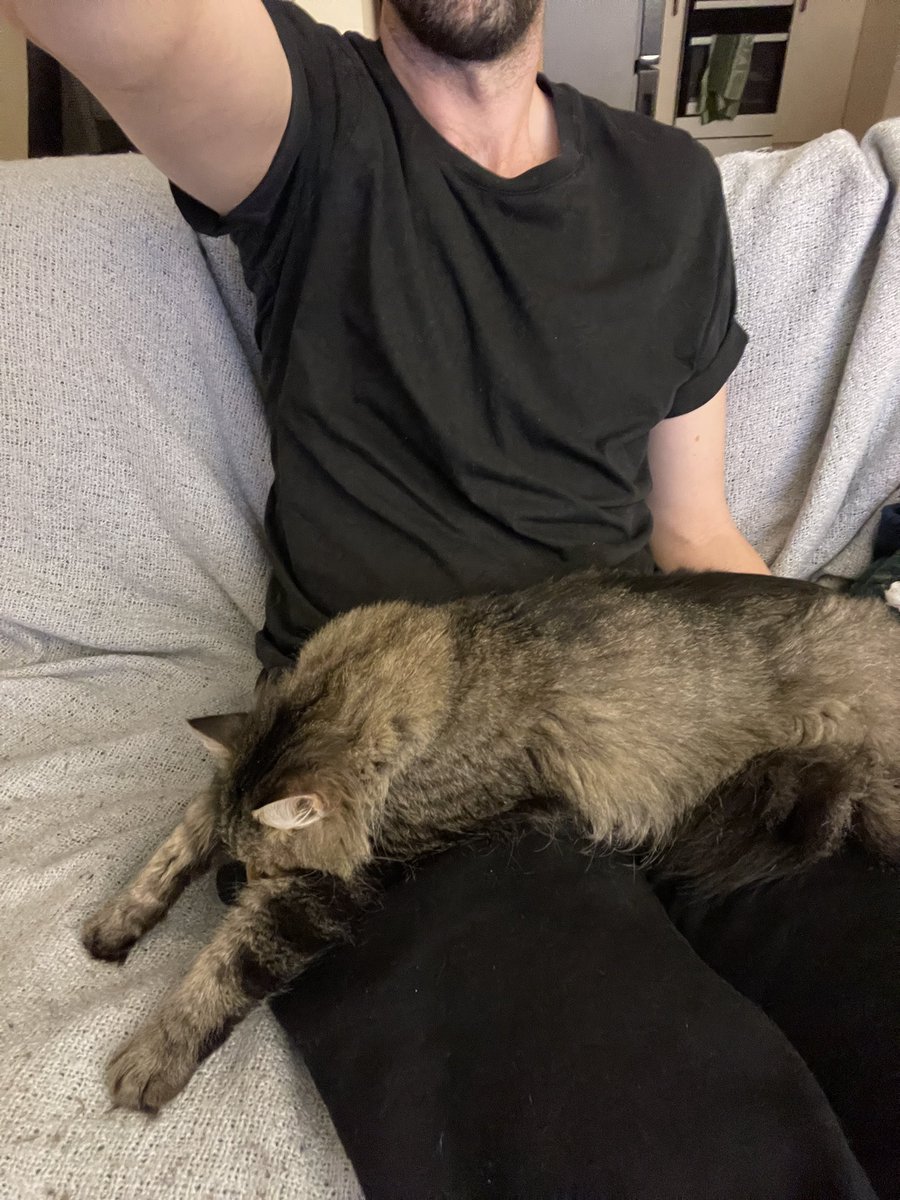 here are some photos of my beautiful cat: one where he’s lusciously stalking a bird out the back patio, the other where he is sleeping like a piece of floppy meat in my lap