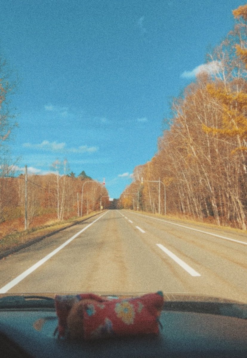 ホッカイドウ帰省中。
１カ月長期のレンタカーを安く借りるの成功し、また車乗り回せることに嬉しくてニヤニヤしてしまう。
やはりわたしはホッカイドウで運転するのが好きなのだ。雪の日以外。