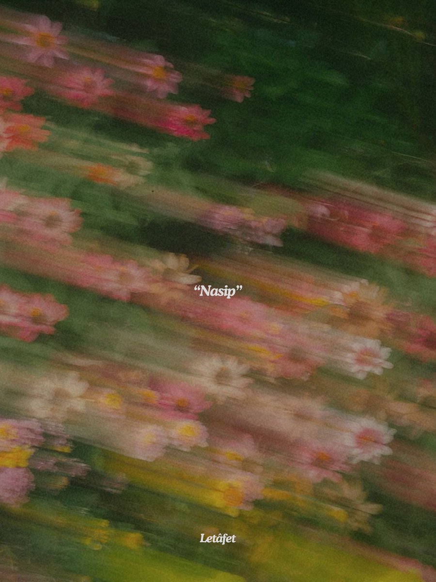 Letâfet (@letafetx) on Twitter photo 