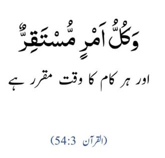 QuranMyriZindgi's tweet image. جلدی نہ مچاؤ 

ہر کام کے لیے ایک وقت مقرر ہے