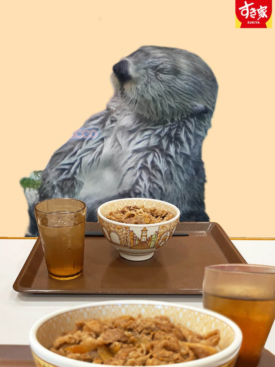 貝じゃないことに解せぬ、
メイちゃんとキラちゃん😂