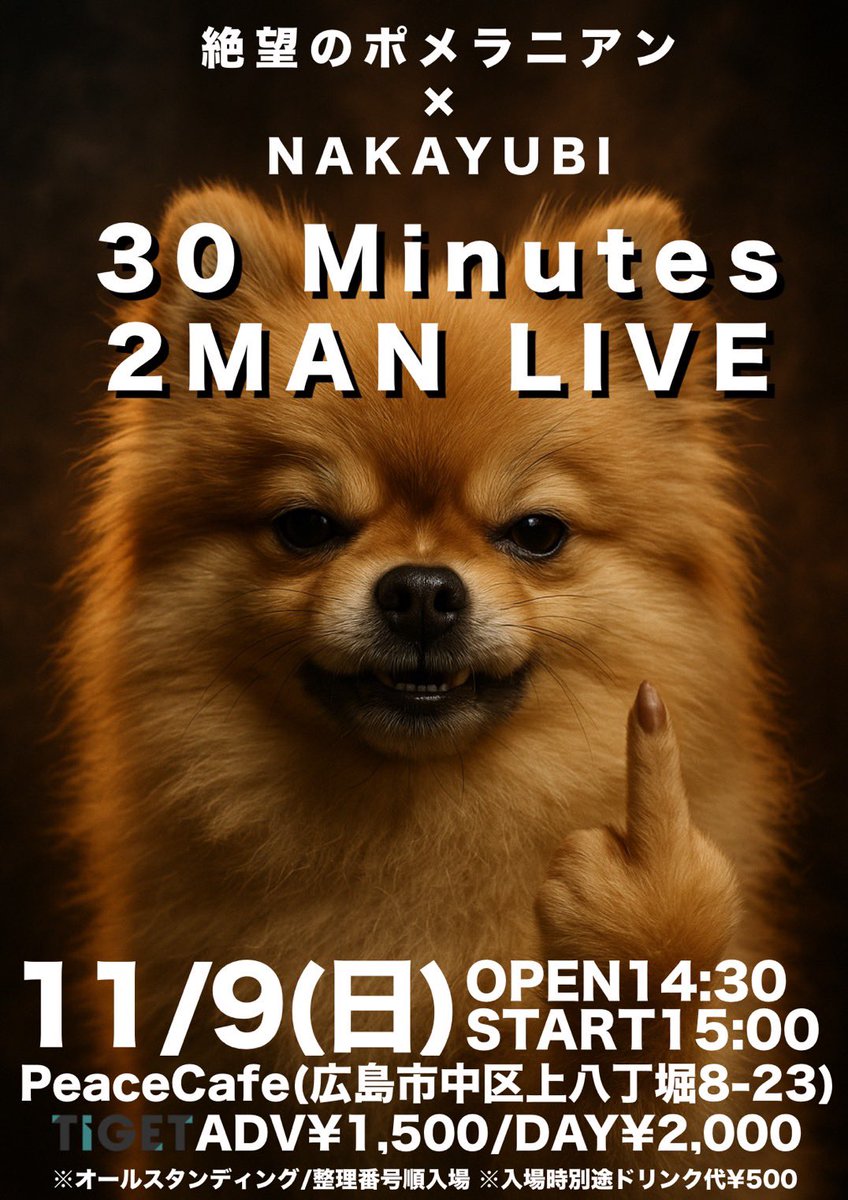 ポメラニアンの人様 maxresdefault.jpg