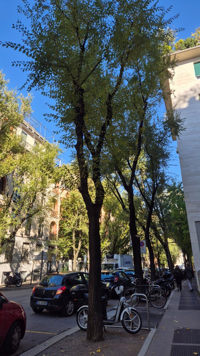 Bi Ankara değil ama gideri var