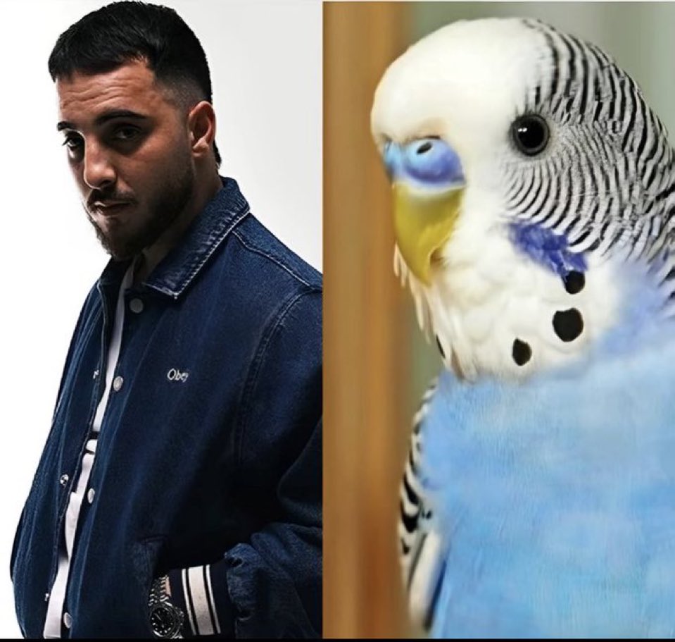 günlerin birbirine benzerlik