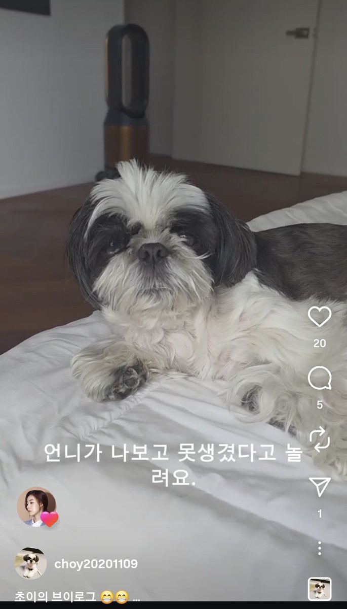 doesitdoiteasy's tweet image. 이거뭔가요