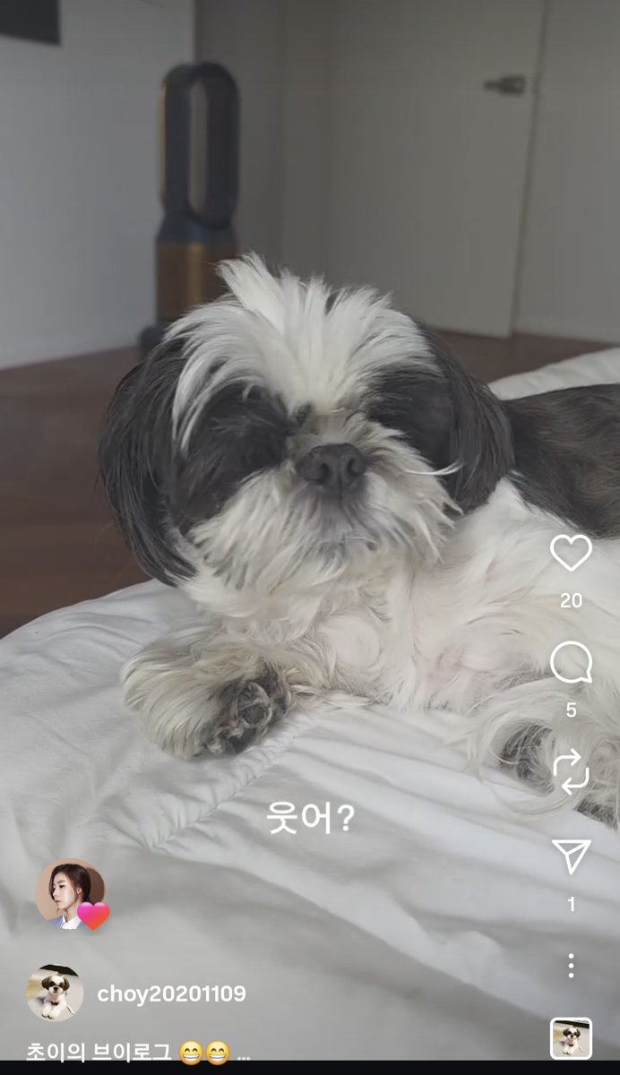 doesitdoiteasy's tweet image. 이거뭔가요