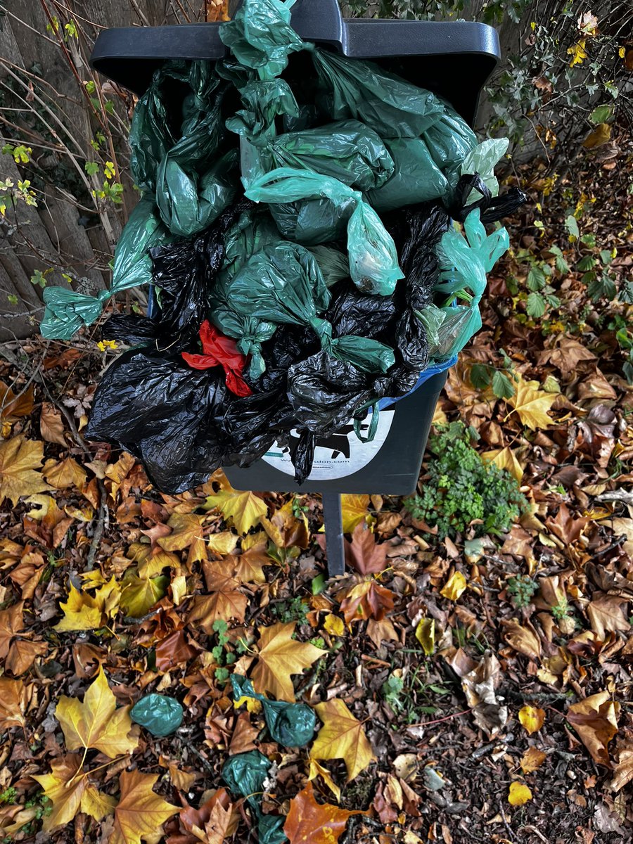 Tony Girling tweet media