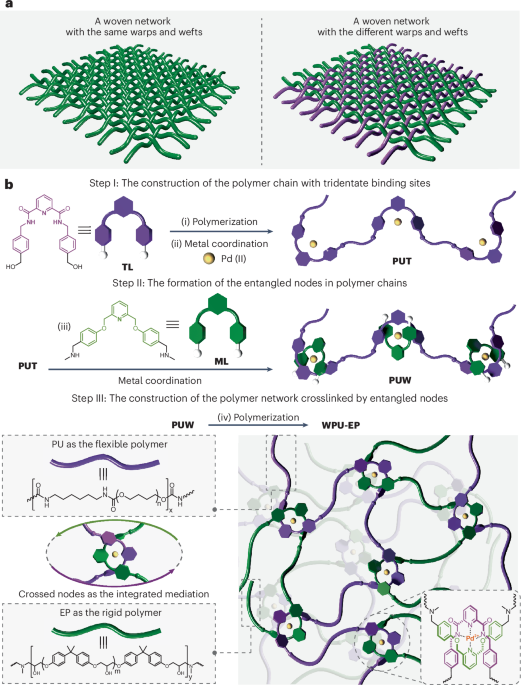ChemistryNews's tweet photo. Weaving-inspired asymmetric entangled nodes in multi-component polymer networks https://t.co/nBkEMknsst https://t.co/7NYhfNK3gN