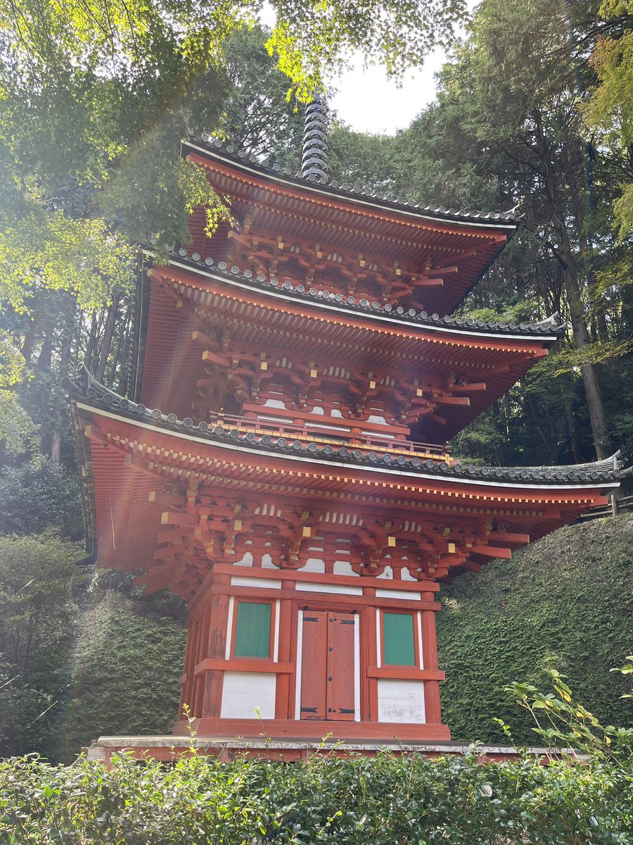 twave1122's tweet photo. 南山城の素敵な五重塔 https://t.co/8BJpQBDs13