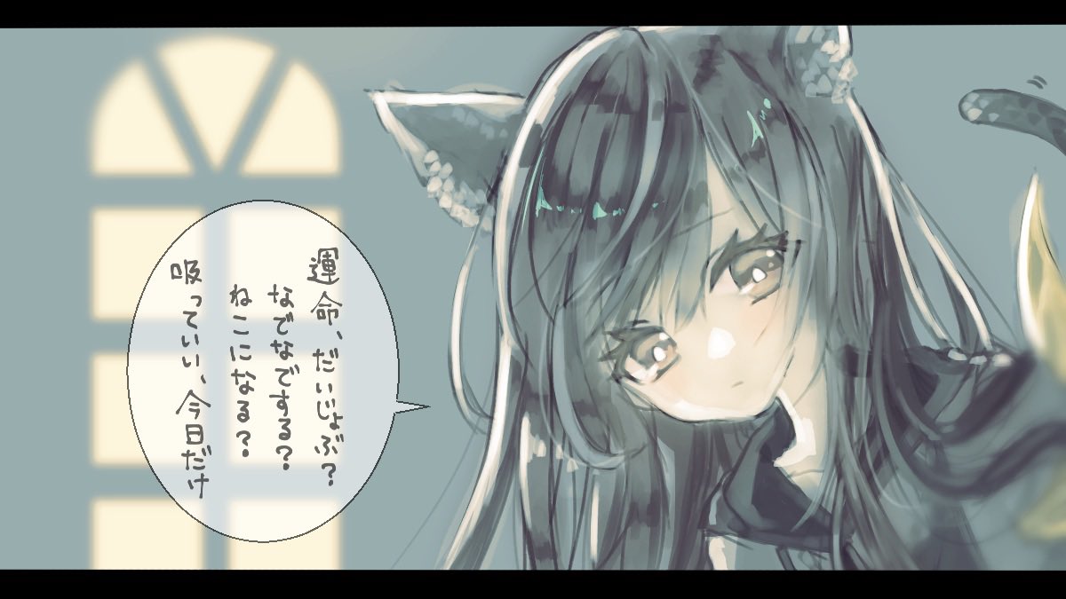 はるねこ🐈‍⬛ tweet media