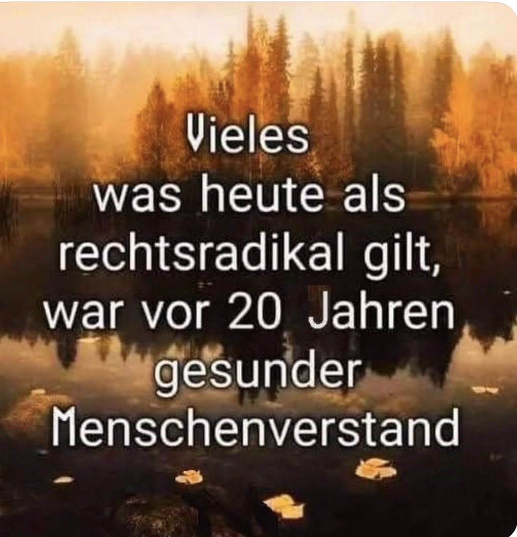 🎯