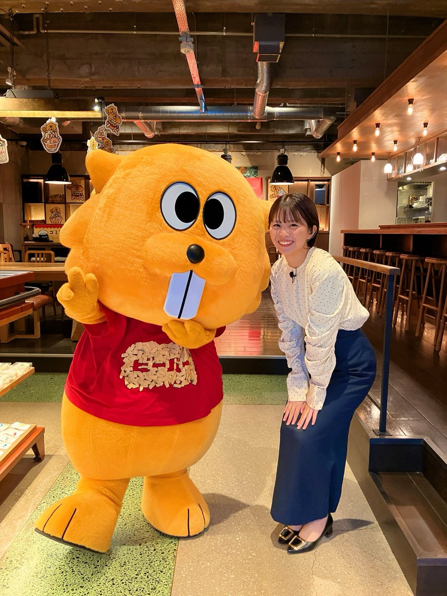 📺HAB北陸朝日放送「ふむふむ」で
 #ビーバーカフェ 生中継でしたぞ〜！

みんな、見てくれたけっ！？ʕ*`ꎴ ́*ʔ 🍔

【期間限定】のここでしか味わえない
アレンジメニューがもりもりだくさーん！
お店の中も可愛くてテンションぶち揚げになっちゃいますぞ💨💨✨