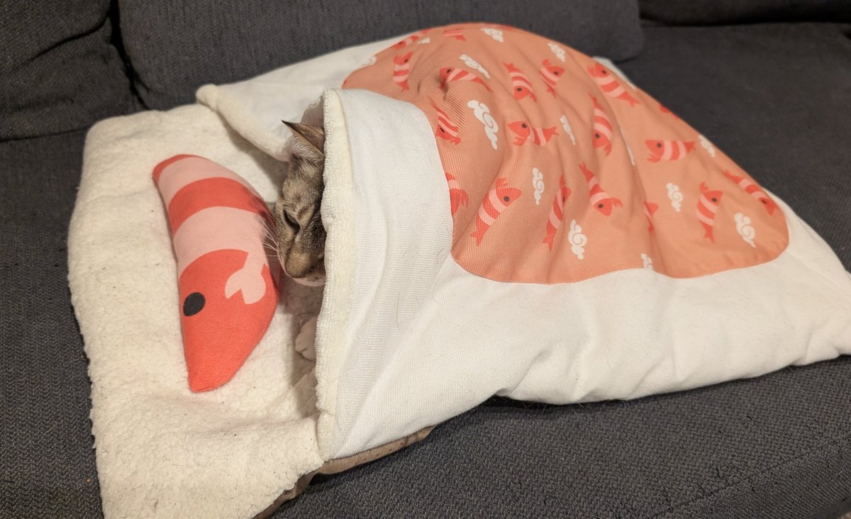 ただいまって声かけたらﾌﾟｰﾝって鳴いてお顔だけ出てきた