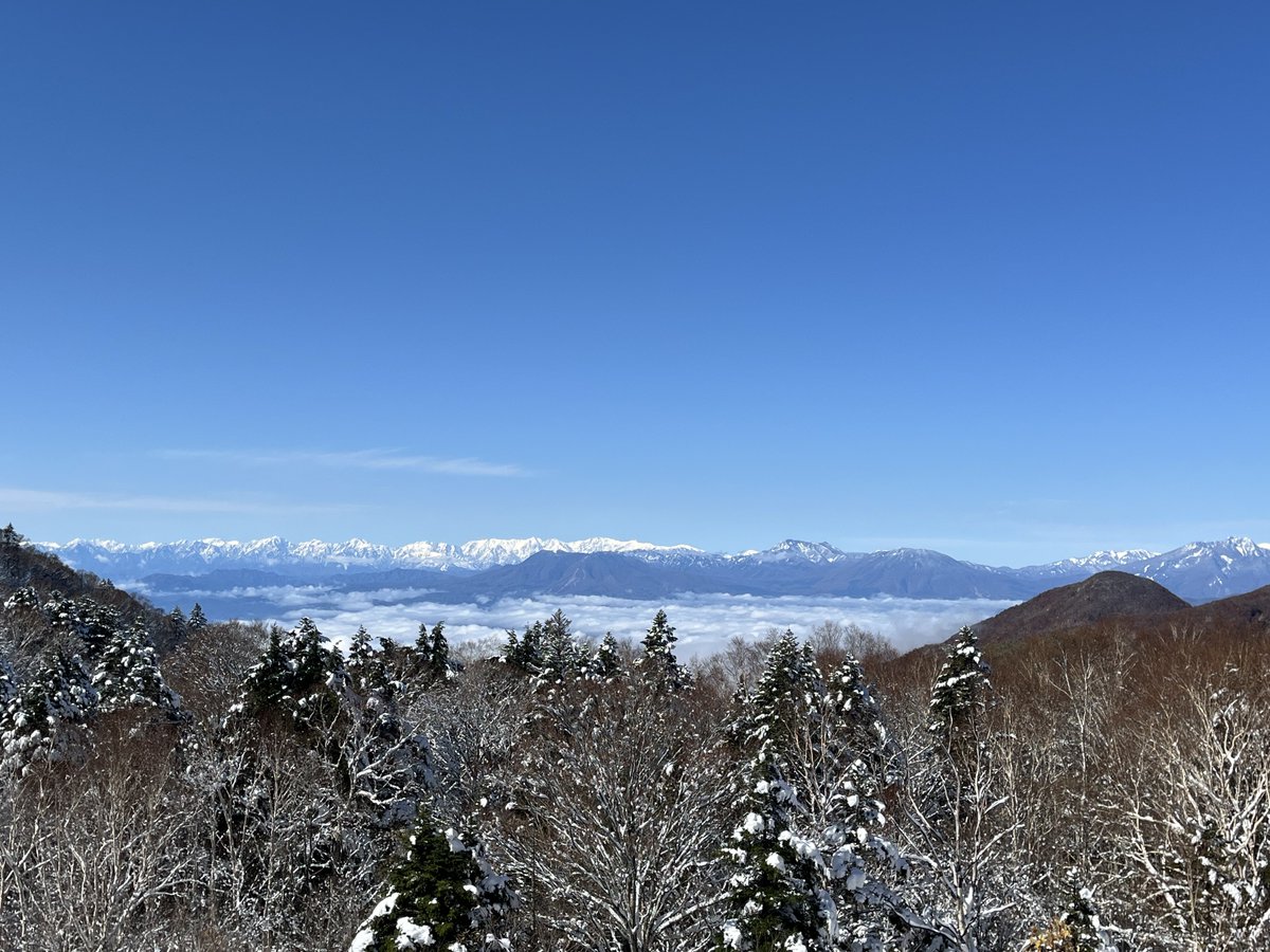 志賀高原 SHIGA KOGEN tweet media