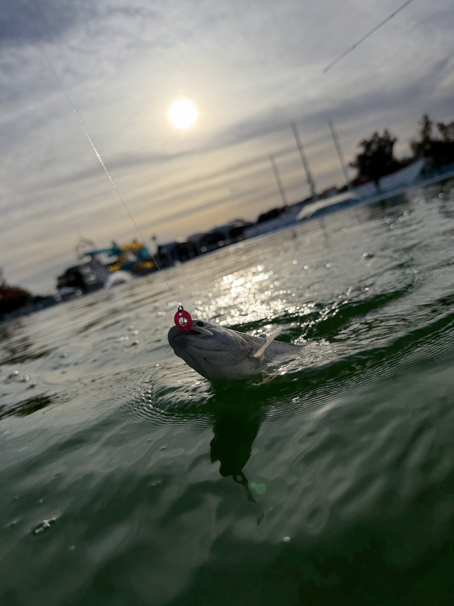 ちゃんみ＆パパ on X