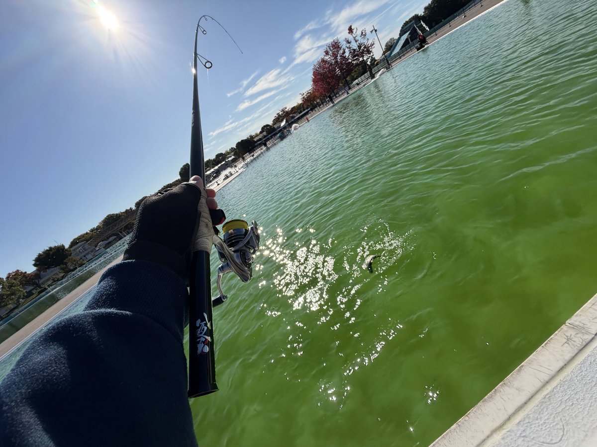 ちゃんみ＆パパ on X