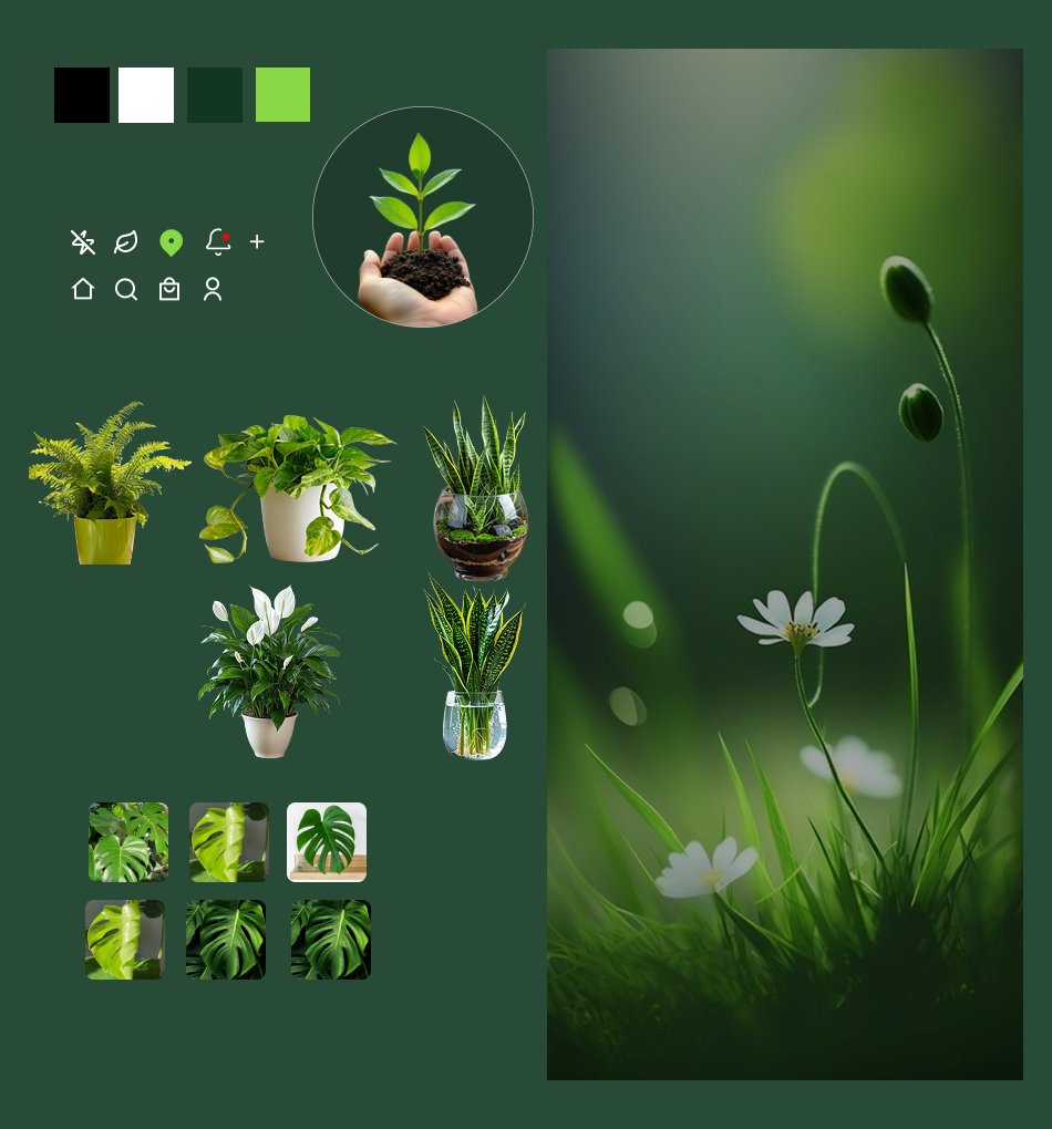 EmmanuelUIUX's tweet image. Plant Shop Mobile App UI 🌿
A nature-inspired app design that makes exploring and purchasing plants feel simple and refreshing. The goal was to create a clean, green, and calming interface that connects users with nature through smooth navigation and balanced visuals.
#UIDesign