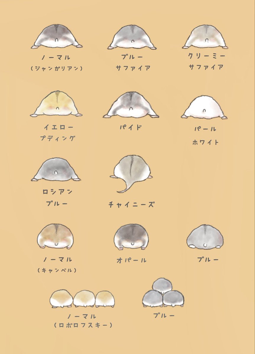 ☺︎smile☺︎ページ いと🐹 on X