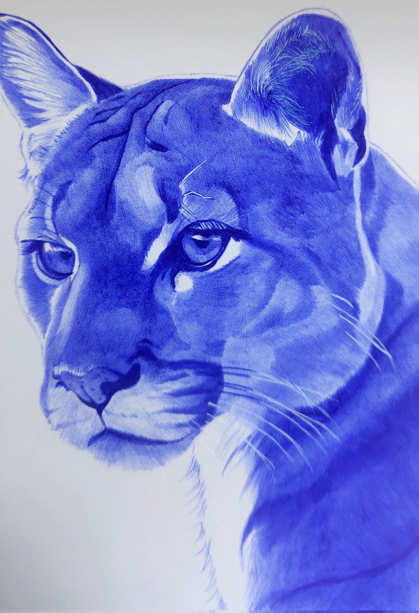 Renaページ ReNa@ボールペン画 (@re9na1art3) / Posts / X