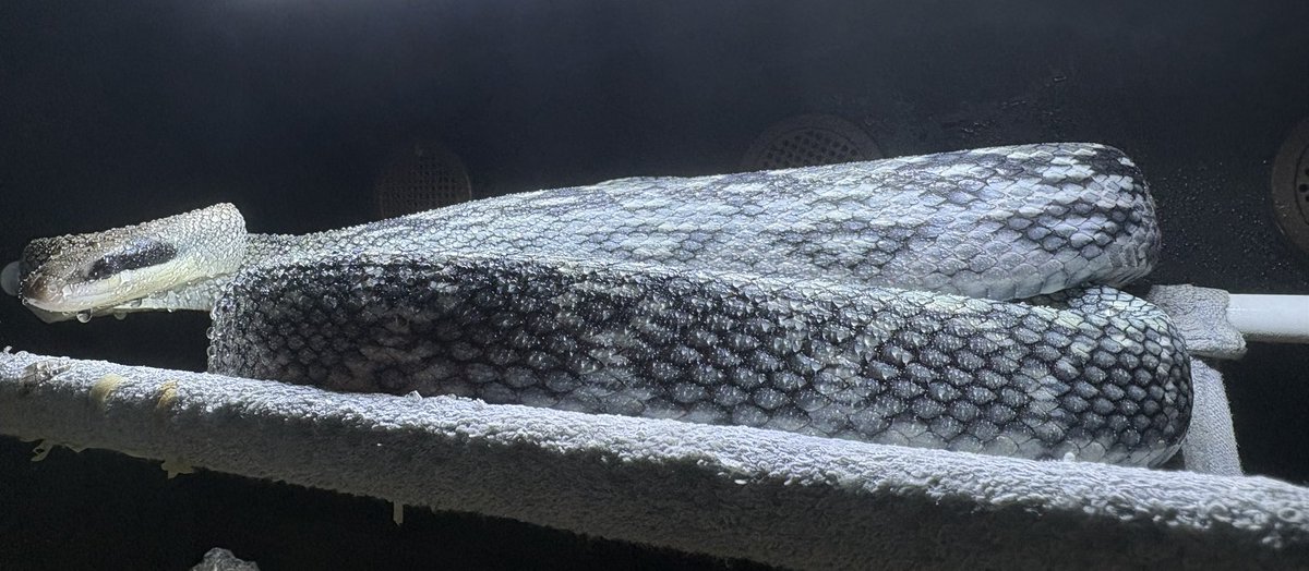 격조했습니다!
잘 자란 은파 사진 두고 갑니다 ㅎㅎ