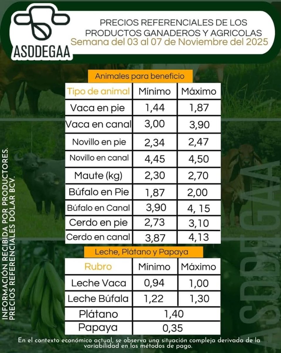 campocafeciudad's tweet photo. PRECIOS REFERENCIALES DE LOS PRODUCTOS GANADEROS Y AGRÍCOLAS EN EL VIGÍA.  

Fuente: Asociación de Ganaderos y Agricultores Alberto Adriani  (ASODEGAA), Estado #Mérida. Instagram @asodegaa

Semana del 03 al 07 de noviembre de 2025

#Venezuela #AgroEconomía #CampoCafeCiudad https://t.co/ctj5fUF8x3