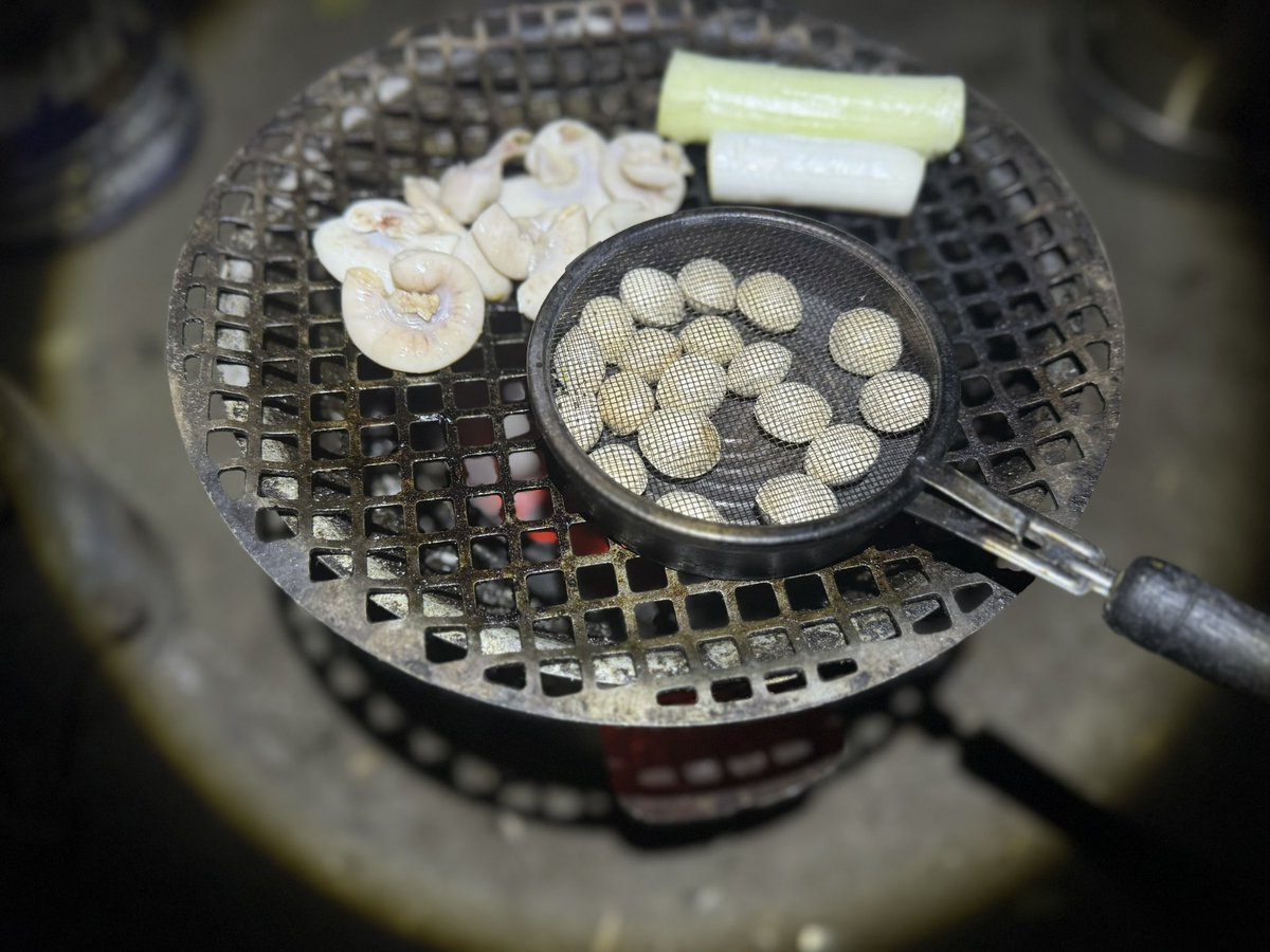 🦎🌎🦩人見(HITOMI) (@p1103q) / Posts / X