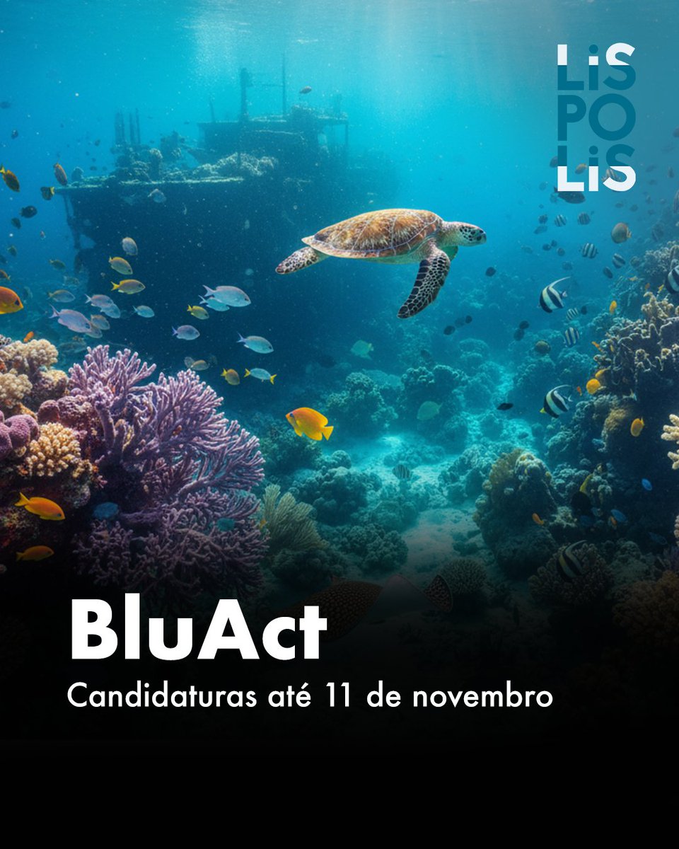 lispolis_'s tweet image. A @uptecporto em parceria com a @CM_MATOSINHOS, lançou o BluAct, programa que apoia negócios que tenham impacto na sustentabilidade do setor marítimo e indústria conserveira. Se tens uma ideia de negócio com impacto nestes setores, este programa é para ti!
cm-matosinhos.pt/p/BluAct