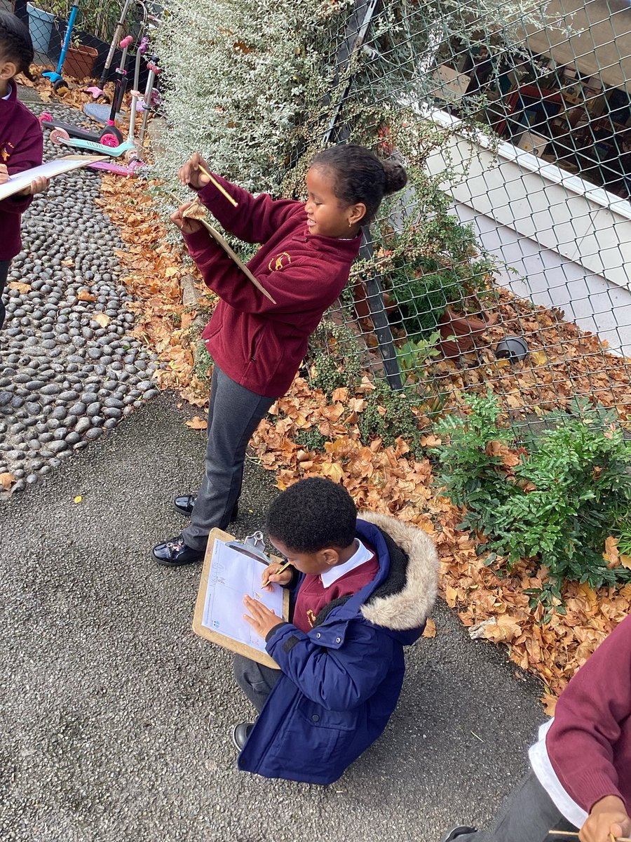 MsEvansHMPS's tweet photo. Year 1 took their literacy lesson outside today! We used our senses to collect nouns and adjectives to describe Autumn. @HerbMorrPriSch https://t.co/lhR5AfvuPS