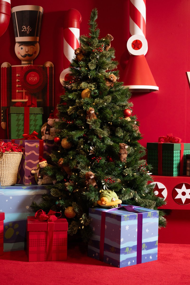 David Jones Launches Its 2025 Festive Season &amp; Reveals Latest Christmas Campaign – ‘A Very Rewarding Christmas’

This year, customers will be generously rewarded for purchasing their Christmas gifts from David Jones.

whatsoninadelaide.net.au/david-jones-la…