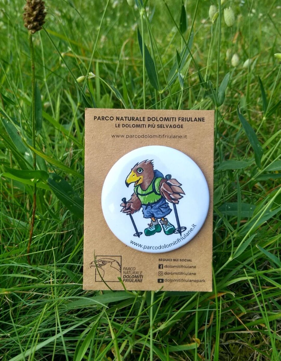 parcoDF's tweet image. Hai già visto le nostre nuove spillette? Una piccola aquila da portare con te ovunque! Le trovi nei nostri Centri visite! 

Ph. Monica De Filippo

#spille #novita #pinbutton #pndf #parcodolomitifriulane