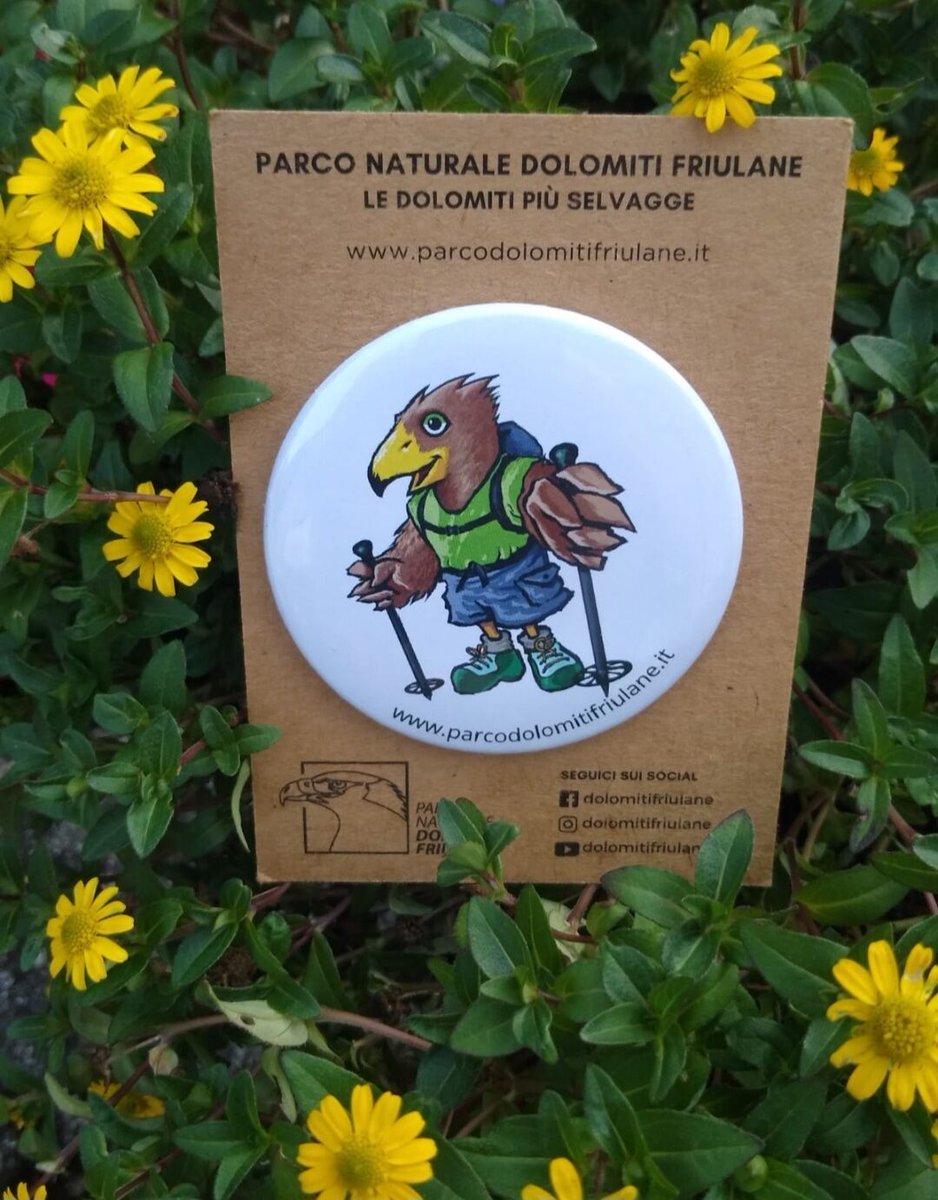 parcoDF's tweet image. Hai già visto le nostre nuove spillette? Una piccola aquila da portare con te ovunque! Le trovi nei nostri Centri visite! 

Ph. Monica De Filippo

#spille #novita #pinbutton #pndf #parcodolomitifriulane